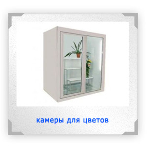 Камеры для цветов